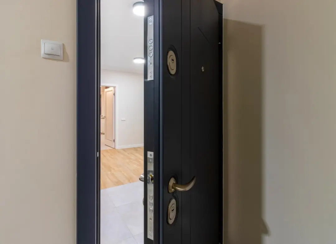 Porte Blindée Kembs